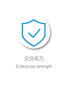 企業(yè)實力